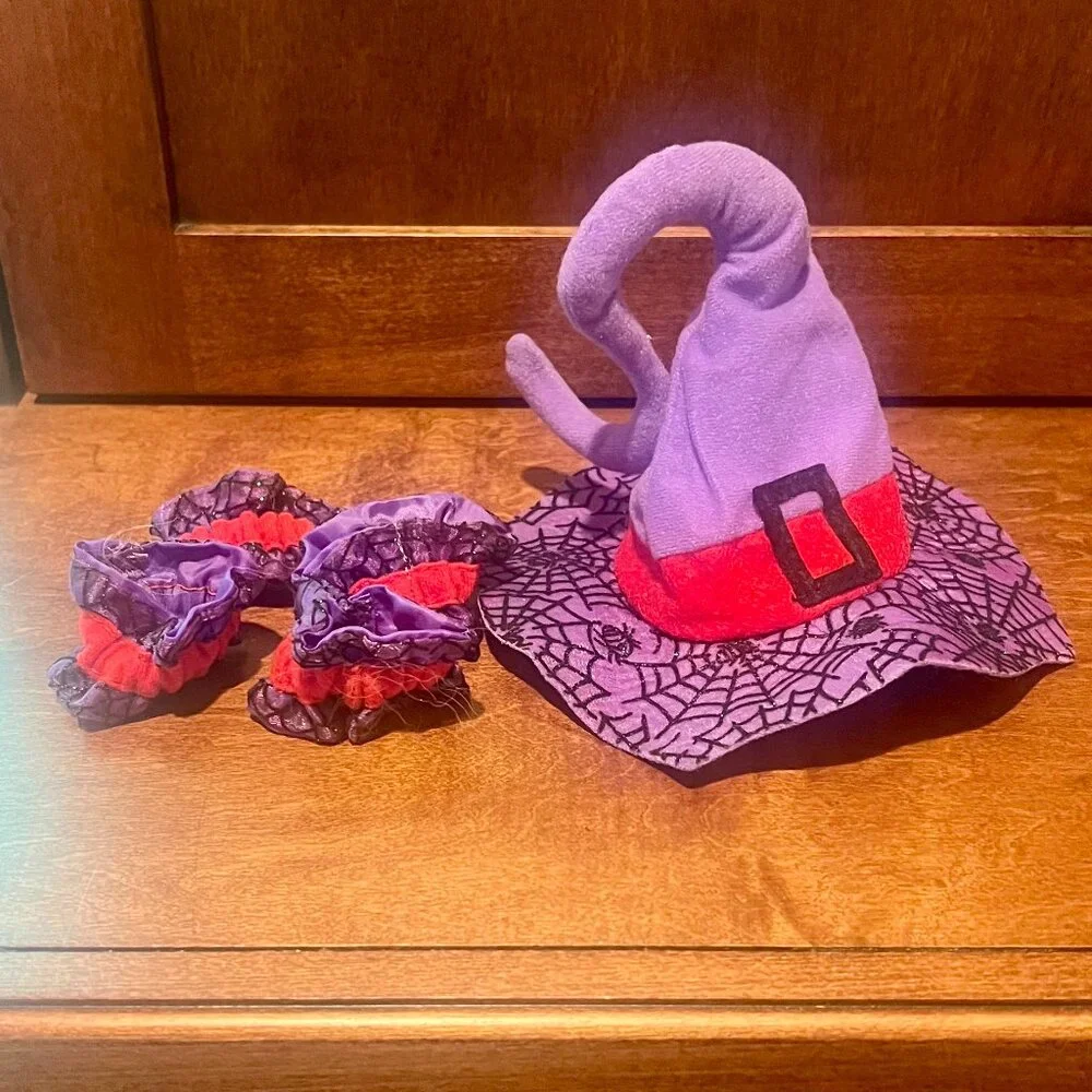 Witch Halloween Costume for Kitty
